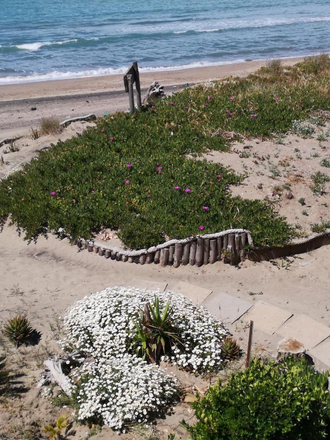 La Duna Beach * Ardea